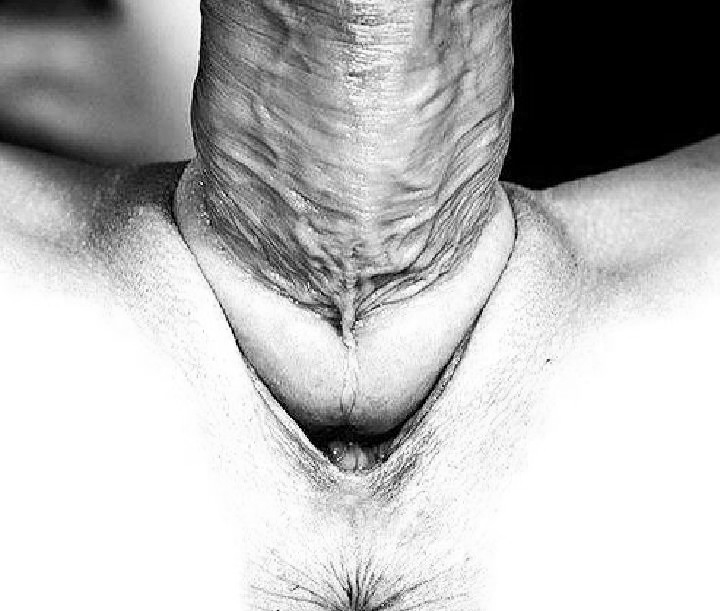 copulation